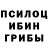 Псилоцибиновые грибы мухоморы Eugen Tkachuk